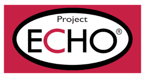 Project Echo logo